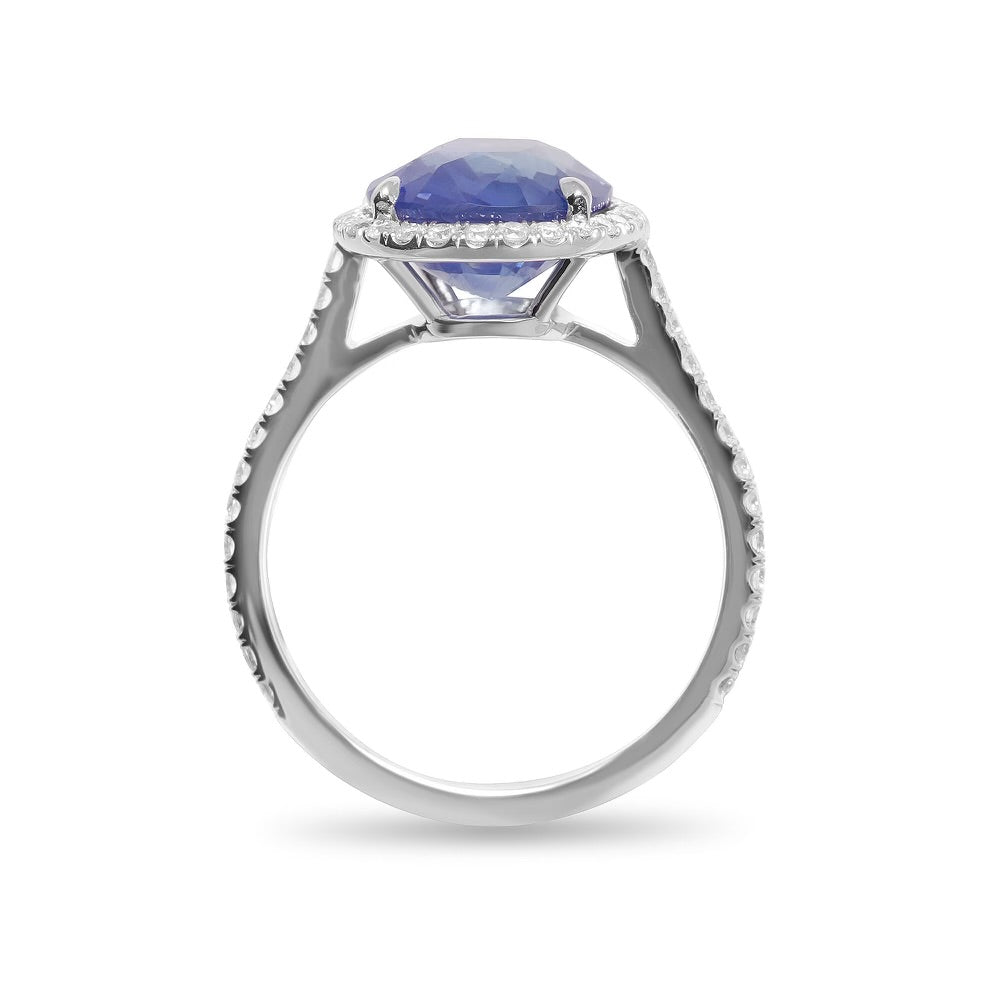 Sapphire Ring with Halo Pave and Pave Band